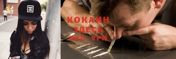 гидра Пересвет