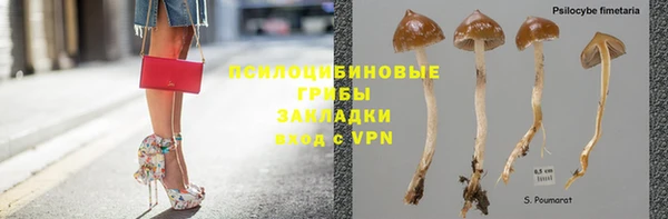 твердый Переславль-Залесский