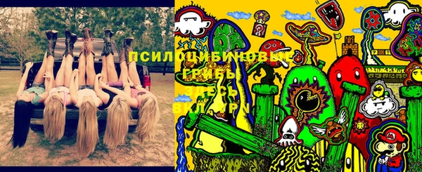 гидра Пересвет