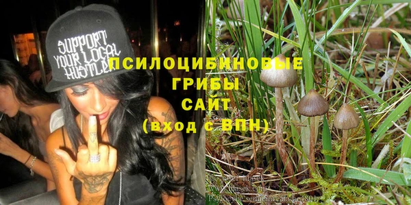 гидра Пестово