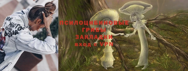 гидра Пестово